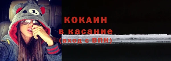 прущие грибы Заволжье