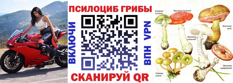 Псилоцибиновые грибы ЛСД  Морозовск 