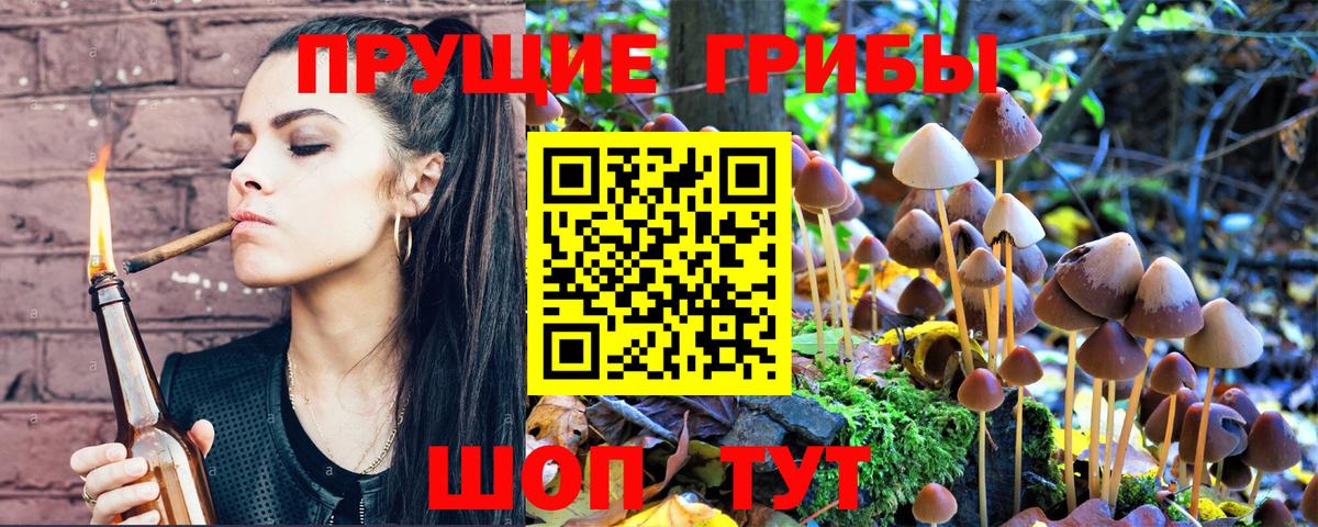Галлюциногенные грибы GOLDEN TEACHER Морозовск
